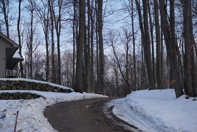 Snow covered road amidst trees during winter