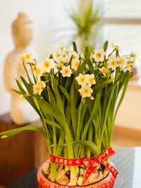 Close-up of flowers in vase on table