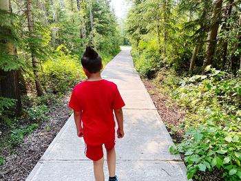 Rear view of man walking on footpath in forest