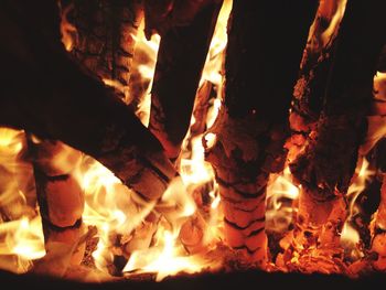 Close-up of bonfire at night