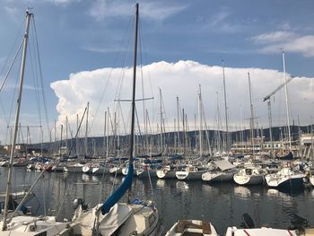 Sailboats moored in harbor