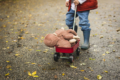 Low section of boy pushing toy cart with stuffed toys on road