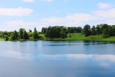 Reflection of trees in lake