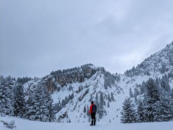 Rear view of person on snowcapped mountain against sky