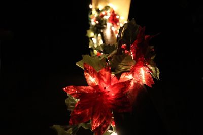 Close-up of illuminated christmas tree at night