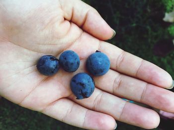 Close-up of woman holding blueberries