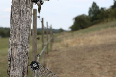 Close-up of wooden post on field