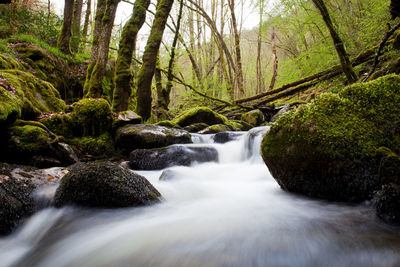 Beautiful river stream through rocks in rainforest