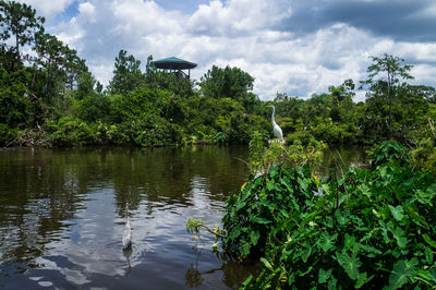 Scenic view of lake against cloudy sky