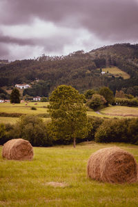 Hay bales on field against sky