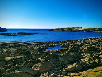 Scenic view of sea against clear blue sky