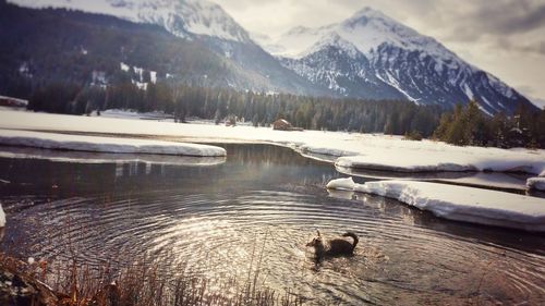 Scenic view of snow covered mountains