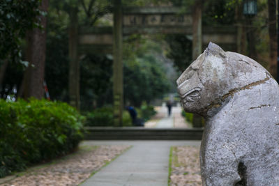 Close-up of statue against trees