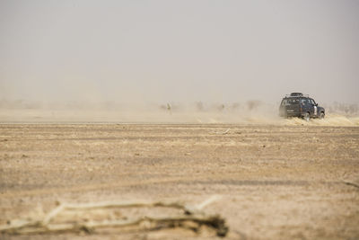 Scenic view of car driving through sahara desert