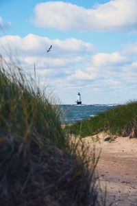 Bird flying over beach against sky