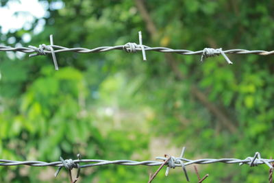 Close-up of barbed wires