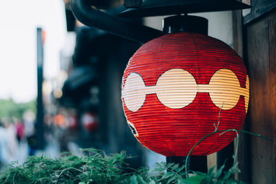 Close-up of japanese lantern against plants