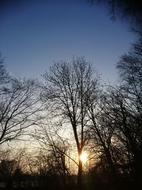 Low angle view of silhouette bare trees against clear sky