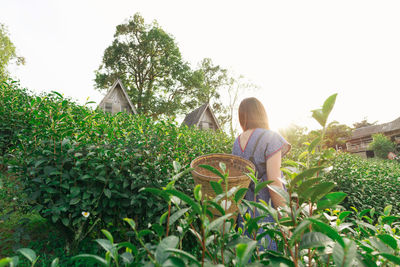 Rear view of woman on plants against sky