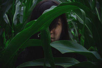 Close-up portrait of woman on plant