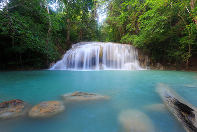 Scenic view of waterfall in forest