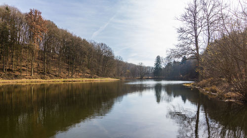 Scenic view of lake in forest against sky