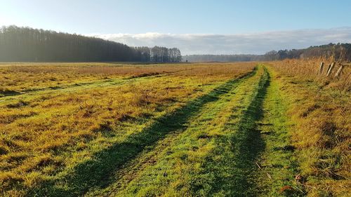 Scenic view of field against sky