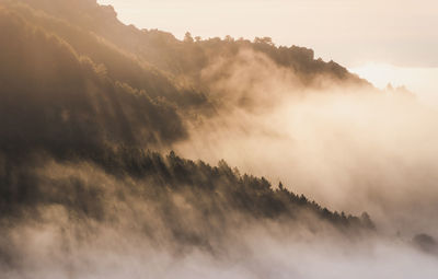 Scenic view of pedriza with lush green trees growing on guadarrama mountain range under misty sky at dawn in spain