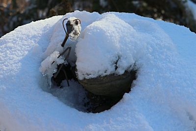 Close-up of snow