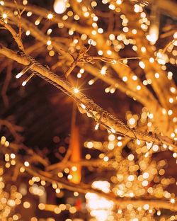 Low angle view of illuminated christmas tree at night