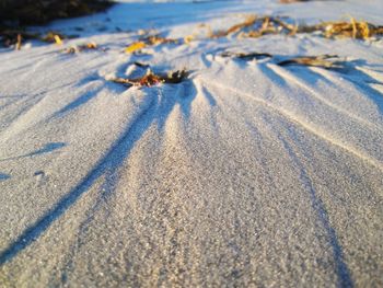 Surface level of snow on land