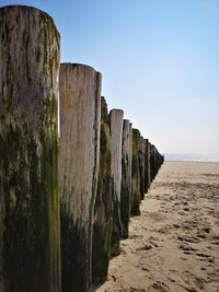 Wooden posts on beach against clear sky