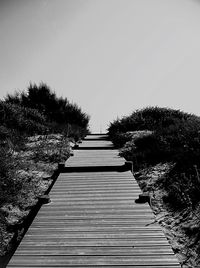 Boardwalk leading towards trees against clear sky