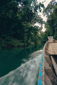 Scenic view of river amidst trees in forest