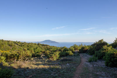 Scenic view of landscape against blue sky