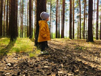 Rear view of man standing amidst trees in forest