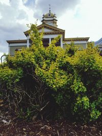 Low angle view of trees and building against sky