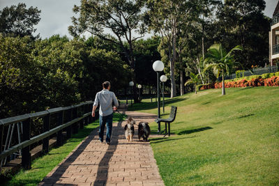 Rear view of man with dog against sky