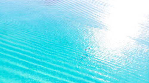 High angle view of people swimming in pool