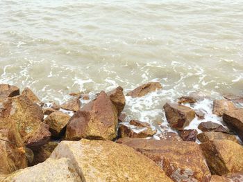 Close-up of rocks in sea