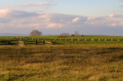 Scenic view of grassy field against cloudy sky