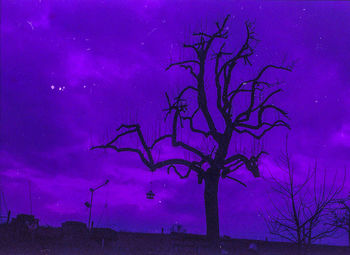 Silhouette of bare tree against sky at night