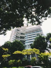 Low angle view of tree by building against sky
