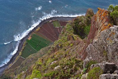 Aerial view of farm by sea