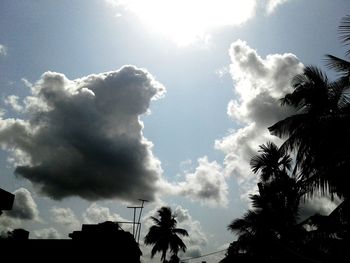 Low angle view of silhouette trees against sky