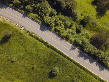 High angle view of road amidst trees