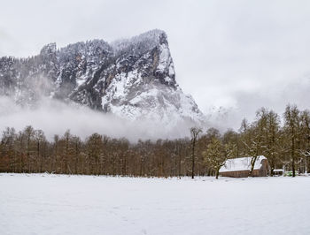 Trees on snow covered land against sky