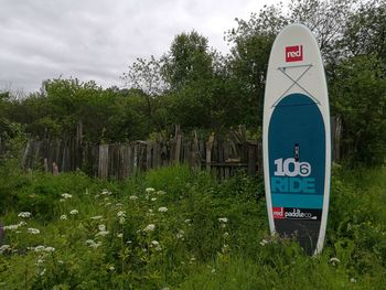 Low angle view of signboard on tree