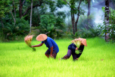 Rear view of people on field