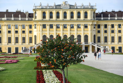 View of plants in front of building